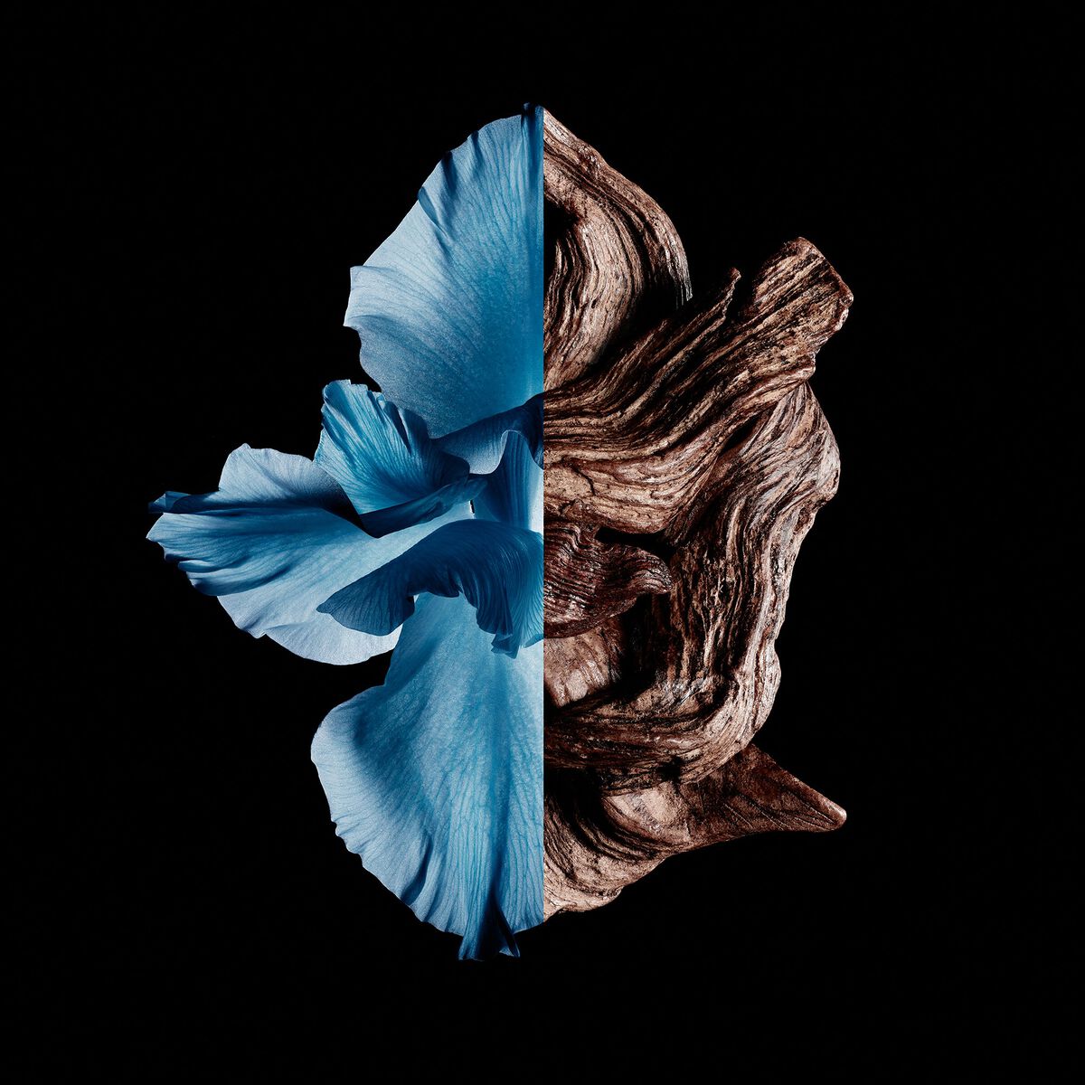 GENTLEMAN GIVENCHY EAU DE TOILETTE INTENSE – Image 2